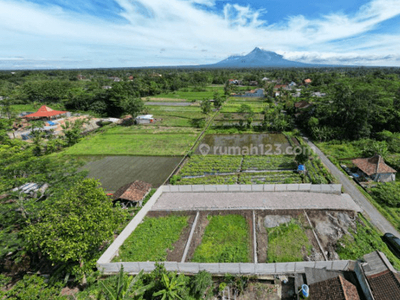 Jalan Kaliurang Km.10 Cocok Kos, 650 Jt M