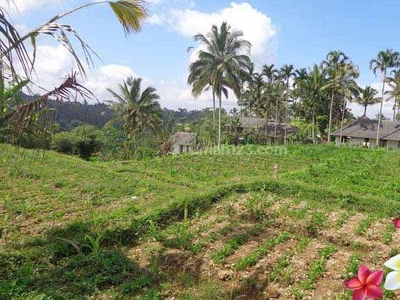 Jtu 690, Tanah Cocok Villa Seluas 98 Are Lokasi Payangan Bali