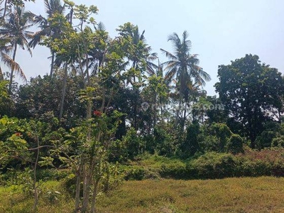 Tanah Murah Untuk Resort di Area Ubud Bali