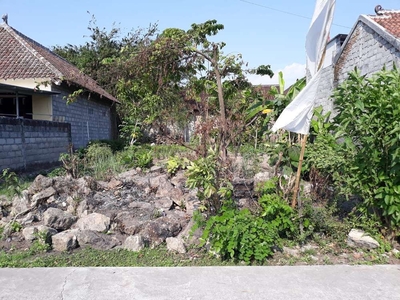 Barat Kampus UMY, Tanah Gamping Sleman; View Sawah