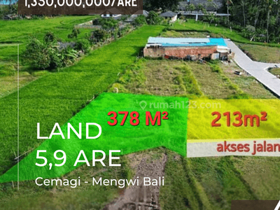 Dijual 2 Plot Tanah Hak Milik Seluas 5,9 Are Dengan View Sawah Laut di Kawasan Pantai Cemagi Mengwi Badung.