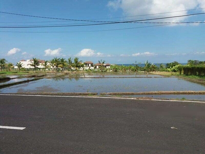 Dijual Cepat Lokasi Tanah Strategis Di Jl. Pangkung Tibah - Tabanan