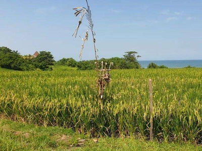 Dijual Cepat & Murah Lokasi Tanah Di Pantai Klecung - Tabanan Bali