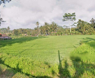 Dijual Cepat & Sangat Murah Lokasi Tanah View Sawah Di Ubud - Bali