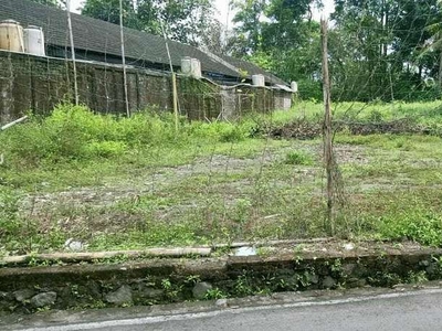 DIJUAL CEPAT Tanah Pekarangan Luas di Prujakan Jl.Damai - Sleman