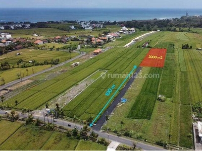 Dijual tanah 12 are di cemagi sudah zona pariwisata