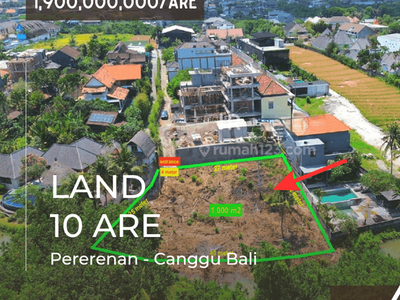 Dijual Tanah Hak Milik Seluas 10 Are Dekat Dengan Pantai Pererenan Canggu Bali
