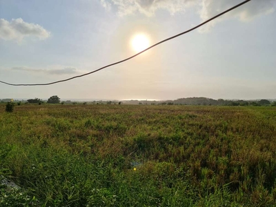 DIJUAL TANAH VIEW SAWAH, GUNUNG DAN PANTAI KELATING TABANAN - BALI.