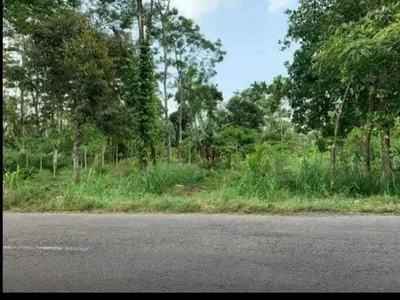 Dijual tanah Zona industri lokasi boyolali|Luas 50000m2