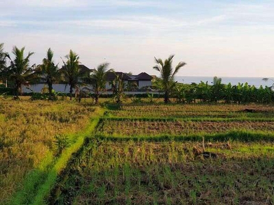 Disewakan Murah Lokasi Tanah Di Jl. Pantai Pangkung Tibah - Tabanan.