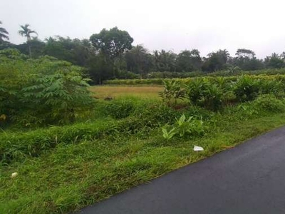 Djual Tanah Sawah view Merapi Di Donokerto Turi Sleman