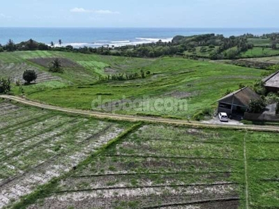 Exotic land of 5,000 sqm close to the beach at Kelecung, Tabanan, Bali