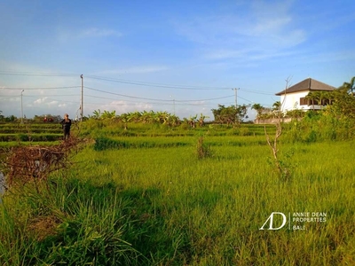 FREEHOLD LAND IN KEDUNGU BEACH TABANAN 500 M FROM THE BEACH