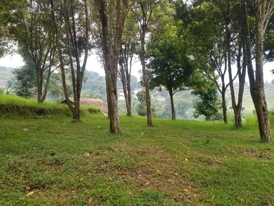 Kebun Cengkeh di Lembang Cocok Buat Agrowisata atau Bisnis wisata