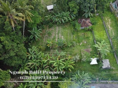 Land For Sale Murah Luas 500 m2 Lingkungan Villa di Ubud Bali