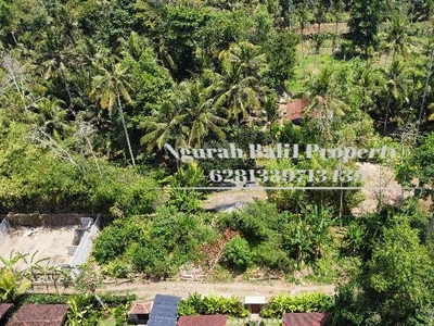 Land For Sale Murah Luas 900 m2 Lingkungan Villa di Sayan Ubud Bali