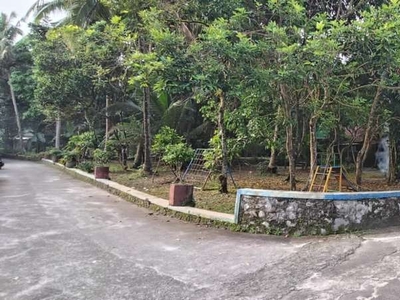 Tanah dekat Jl. Raya Tempel-Seyegan cocok untuk hunian dan investasi