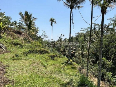Tanah di Tegallalang Bali Gianyar View Lembah Dan Jungle