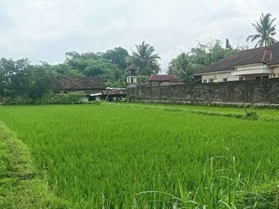 Tanah Jl. Palagan km.14, Sleman - DI. Yogyakarta