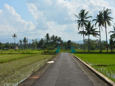 TANAH JOGJA MURAH Dekat Pintu Exit Tol Sleman Jogja. SHM