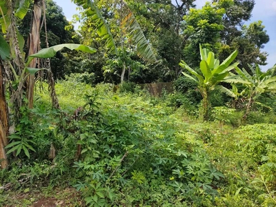 Tanah Kavling Siap Bangun daerah Wonolopo, Mijen