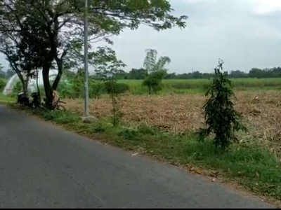 Tanah Pertanian Murah Poros Jalan Di Mojokerto