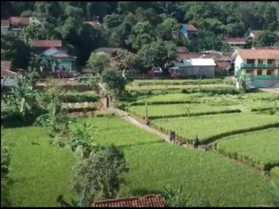 Tanah Sawah Padi Kolam ikan Kebun Karang Tengah Cibadak Sukabumi