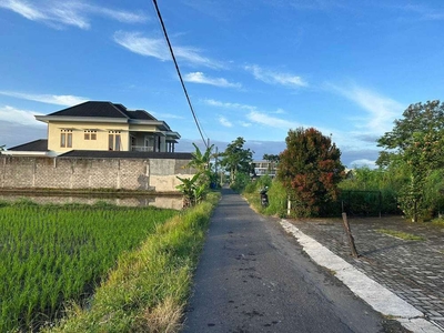 Tanah Sleman, Utara Jl. Damai Jogja: Pas Buat Homestay