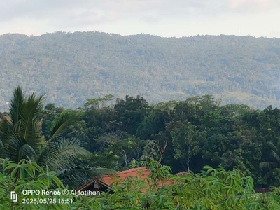 tanah view pegunungan Kaliori kalibagor