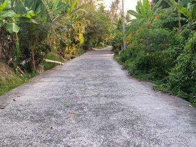 Tanah View Sawah Pantai Kedungu Kediri