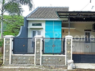 Disewakan Rumah Rumah di Kontrakan di Jl Kisabalanang