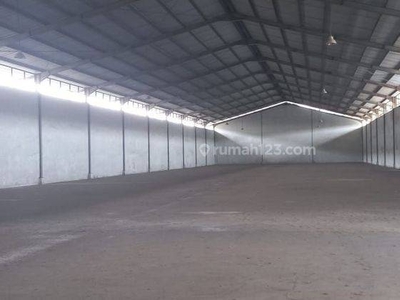 GUDANG CIKUPA LT 4HA, LB 5500 M², BAGUS, PLONG, READY, AMAN, BEBAS BANJIR, OFFICE, AKSES 40FT, HRG 40RB/M/BLN (2,640M) MIN 2 THN