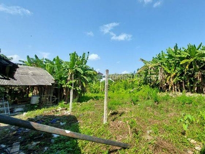 Land For Lease Hold In Raya Canggu, Udb 045