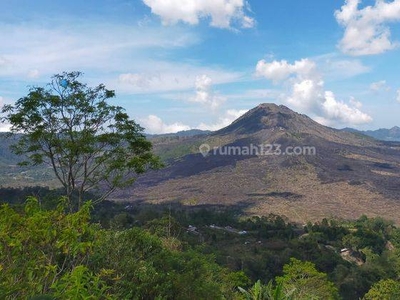 Premium Land 10 Are Main Road View Super Gunung Batur Kintamani Bali