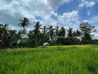Prime Leasehold Opportunity In Kenderan Suitable For Villas