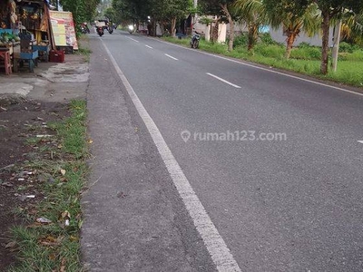Tanah Sawah Pinggir Jalan Utama Jembrana Bali