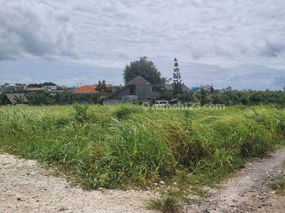 Tanah Sewa Dengan View Sawah di Pusat Brawa, Canggu