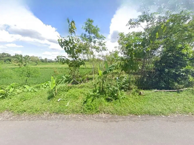 450 Meter Jl Palagan Rejodani, Lokasi Timur Obelix Village Jogja