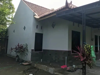 Di sewakan rumah minimalis di banjeng maguwoharjo