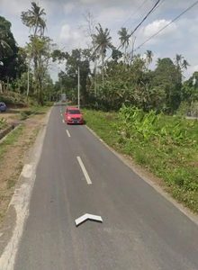 Dijual Tanah 4,7 Are di Pantai Nyanyi Tabanan