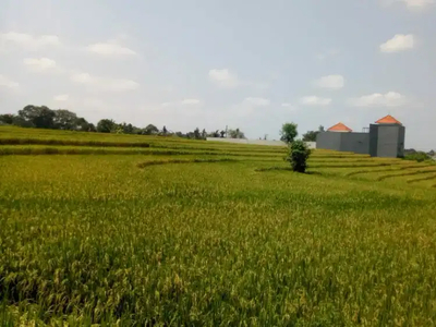 DIJUAL TANAH TUMBAK BAYUH VIEW SAWAH KAWASAN VILLA