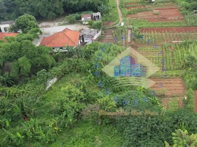 Disewakan Tanah Luas di Curug, Tangerang, Banten.