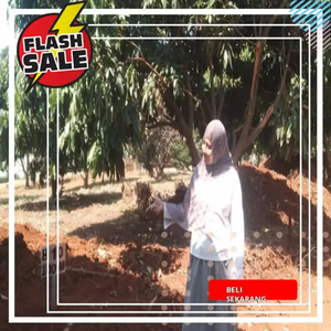 JUAL TANAH DAERAH BOGOR