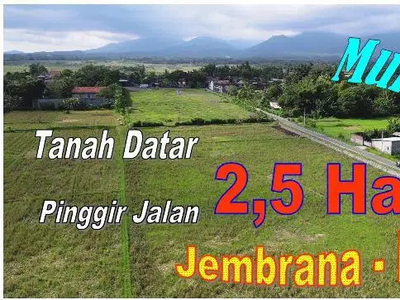 Semi Kotak 24.490 m2 Tanah Kering Siap Bangun di Jembrana