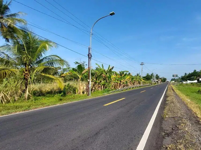 Tanah 1,1 Hektar Barat Bandara NYIA Jalan Daendels