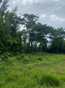 Tanah Kayu Cendana Seminyak Kuta Utara Bali