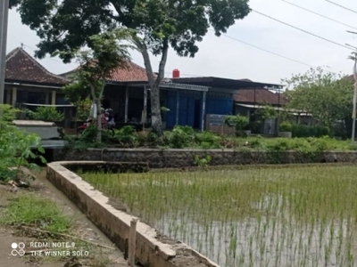 tanah kering timur proliman skh