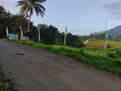 Tanah SHM di Pinggir Jalan Kabupaten Murah