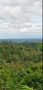 Tanah view lembah dan gunung di Selemadeg Bali