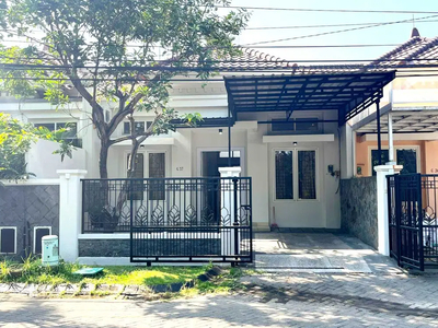 Termurah Jual rumah central park a yani gayungsari bagus row lebar